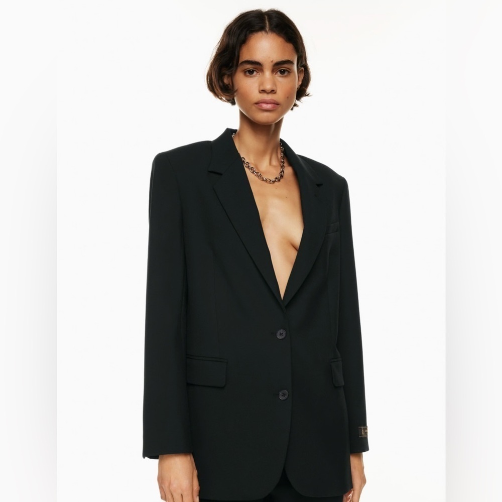 Aritzia Babaton New Agency Blazer